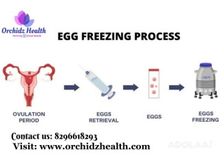 Orchidz Health: Egg Freezing Savings