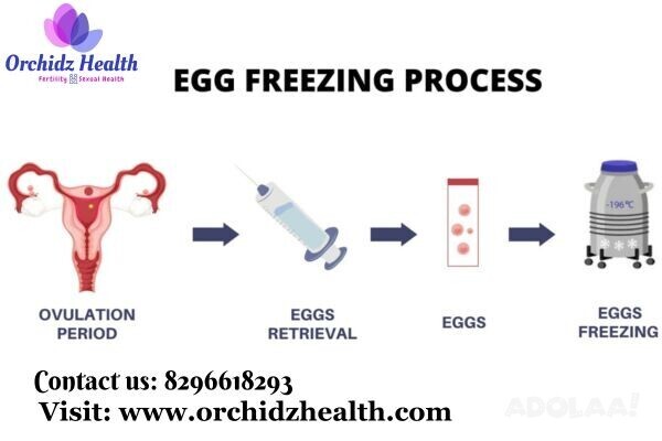 orchidz-health-egg-freezing-savings-big-0