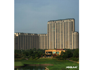 Buy Luxury Apartments in Gurgaon - DLF The Camellias