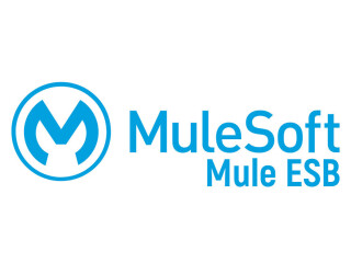 Mulesoft Online Training in India, US, Canada, UK.