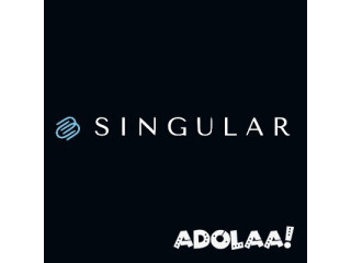 Singular Global