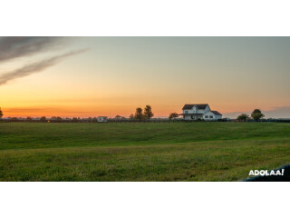 Rural Property for Sale NZ