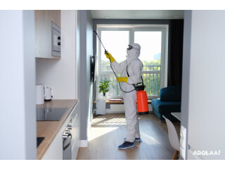 Pest Control In Port St Lucie