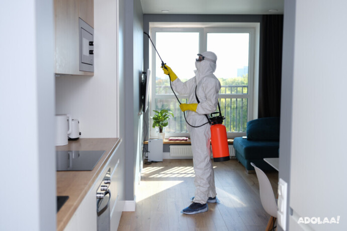 pest-control-in-port-st-lucie-big-0