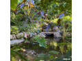 water-garden-installation-small-0