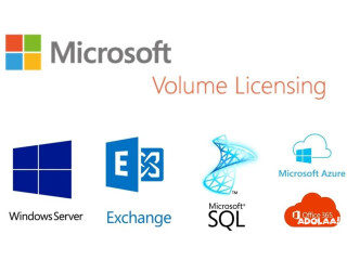 Global Microsoft Volume Licensing Support and Technology Solutions