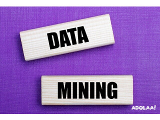 Gain Valuable Customer Insights with our Social Media Data Mining Services