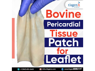 Bovine Pericardial Tissue Patch for Leaflet - Tisgenx,