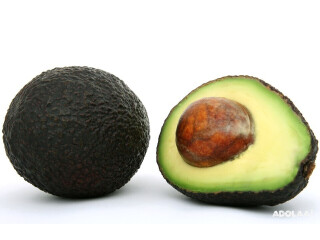 California Avocados: Freshness from the Golden State