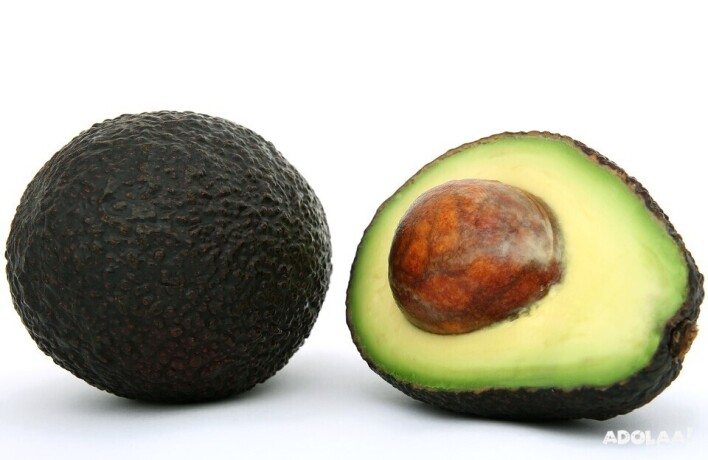 california-avocados-freshness-from-the-golden-state-big-0