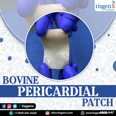 bovine-pericardial-patch-big-0