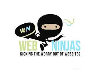 Web Ninjas Digital Marketing & Website Design Agency in Houston