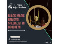 best-indian-astrologer-in-brooklyn-psychicarjunkrishna-small-0