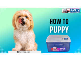 Top-Quality Puppy Incubators for Sale in USA