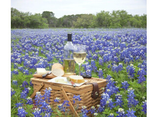 Texas Winery Tours