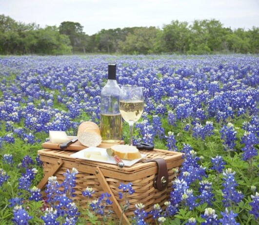 texas-winery-tours-big-0