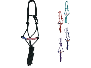 Equine Essentials: Exploring Halters and Headstalls