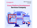 appvin-cross-platform-mobile-application-development-services-small-1