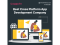 appvin-cross-platform-mobile-application-development-services-small-2