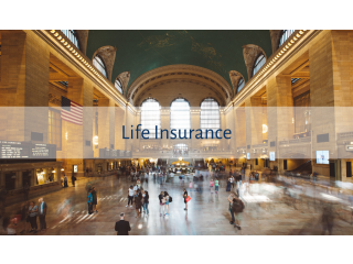 Indexed Universal Life Insurance for Growth and Protection