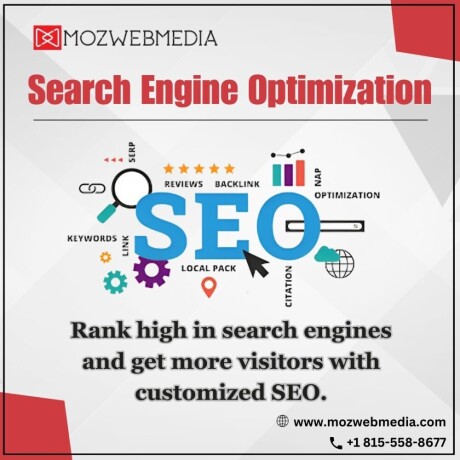 search-engine-optimization-in-chicago-big-0