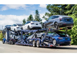 Secure Enclosed Car Transport Companies Services