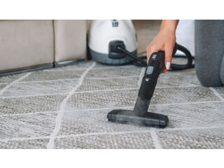 Best Home Carpet Steam Cleaner Sunny Isles Beach