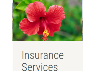 Estate Life Insurance Plans Kauai, HI