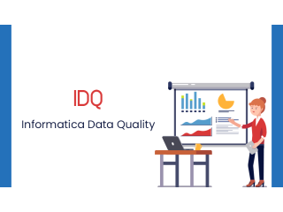 Informatica Data QualityOnline Training Coaching Course In India