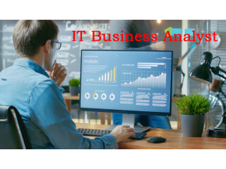 IT Business AnalystOnline Training Viswa Online Trainings In India