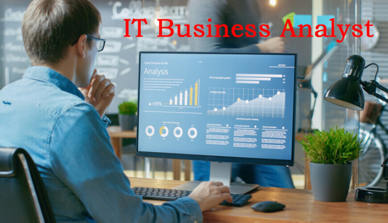 it-business-analystonline-training-viswa-online-trainings-in-india-big-0