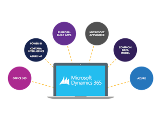 Transform your financial operations with Dynamics 365 Finance Solutions in the USA.