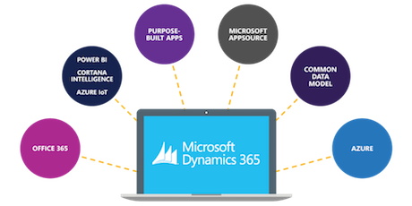 transform-your-financial-operations-with-dynamics-365-finance-solutions-in-the-usa-big-0