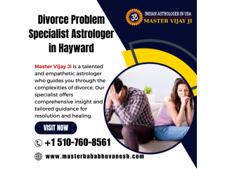 Divorce Problem Specialist Astrologer in Hayward