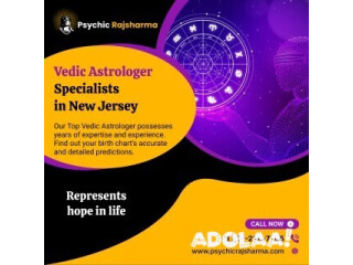 Vedic Astrologer in New Jersey | Famous Vedic Astrologer in New Jersey