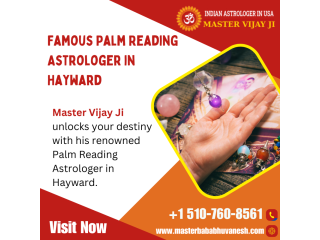 Famous Palm Reading Astrologer in Hayward