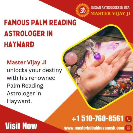 famous-palm-reading-astrologer-in-hayward-big-0