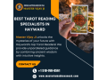 best-tarot-reading-specialists-in-hayward-small-0