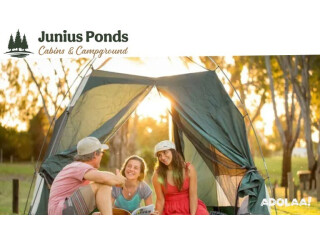 Best Junius Ponds Service Area