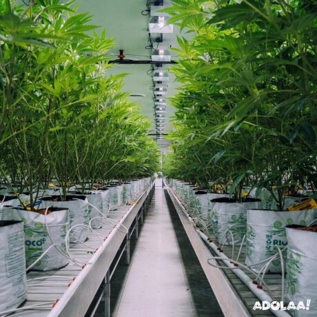 wholesale-hydroponic-supplies-big-0