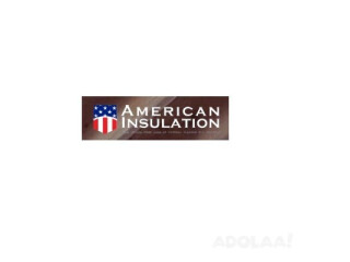 American Insulation Co