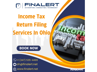 Income Tax Return Filing Services In Ohio