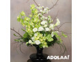 columbia-midtown-florist-small-6