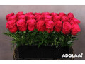 blooming-affairs-best-flower-delivery-nyc-small-0