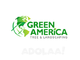 Green America Tree & Landscaping