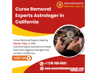 Curse Removal Experts Astrologer in Hayward