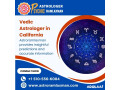 vedic-astrologer-in-california-small-0