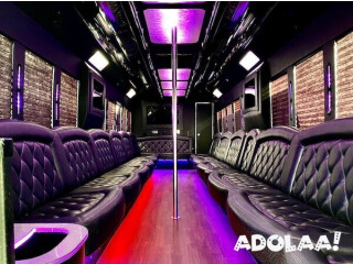 Get the Party Rolling: Launch Your Own Dynamic Party Bus Business Venture!