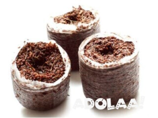 Obtain 100% organic and nutrient-balanced medium of coco coir for hydroponics