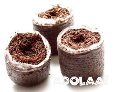 obtain-100-organic-and-nutrient-balanced-medium-of-coco-coir-for-hydroponics-big-0